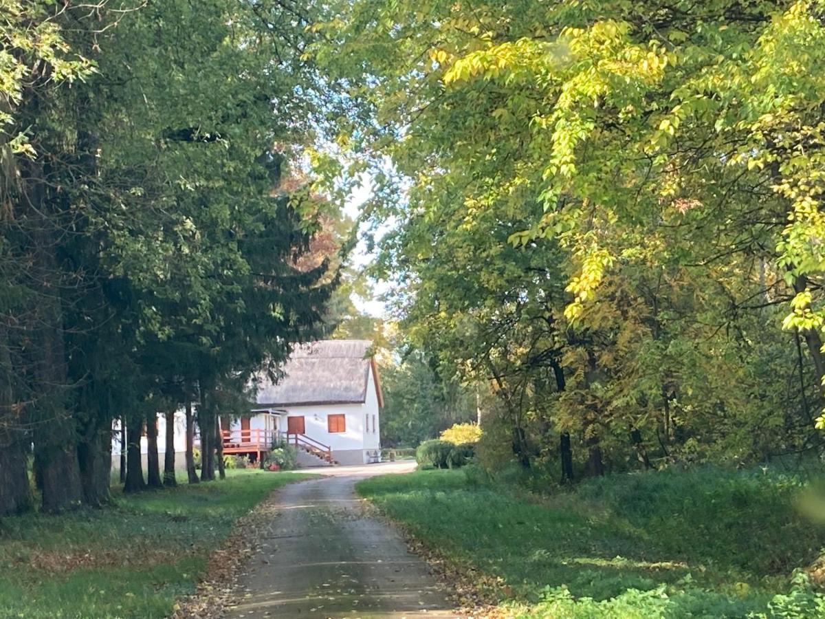 Wildente Vadaszhaz Tamási Exteriör bild